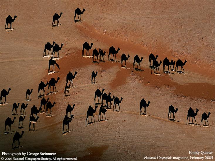 galeria National Geographic - wallpaper_lg.4.129.jpg