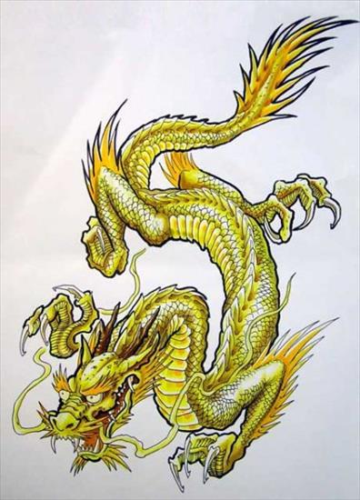 wzory Tattoo - dragon.jpg