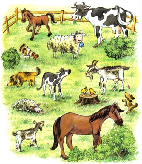 na wsi, zwierzęta z wiejskiego podwórka, zagroda - zwierzęta i ich dzieci8.JPG