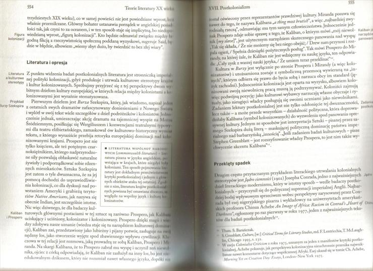 Teorie literatury XX wieku - Markowski, Burzyńska 2006 - 554,555.jpg