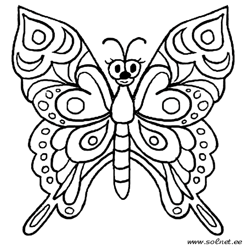 Motylki i owady - 18.gif