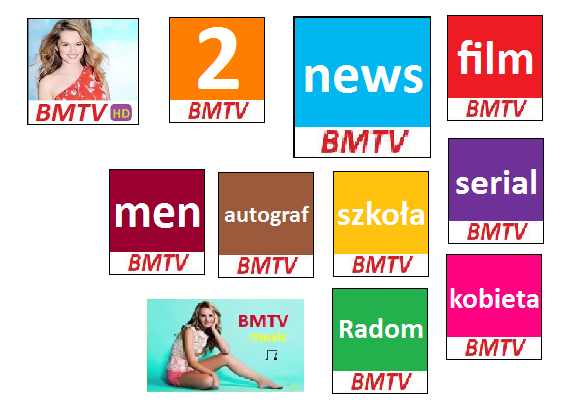 TV fikcyjne - loga bmtv 2015.png