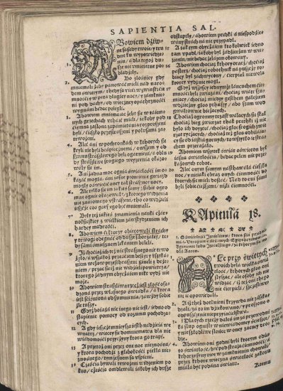 Biblia Brzeska 1563 Color 2000p JPGs - Biblia Brzeska 1073.jpg