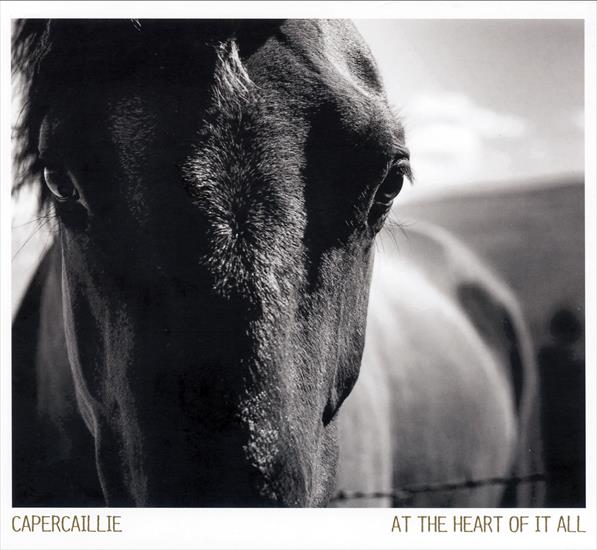 2013 - At the Heart of It All - capercaillie - at the heart of it all - front.bmp