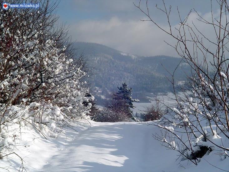 Krajobrazowe - zimowy_krajobraz_800.jpg