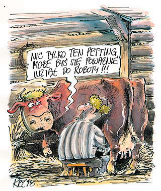 Humor rysunkowy - polska-krowa.jpg