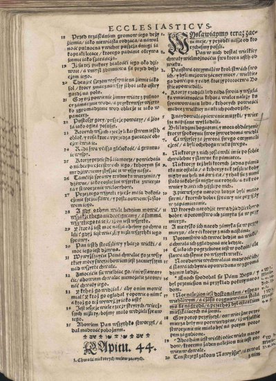 Biblia Brzeska 1563 Color 2000p JPGs - Biblia Brzeska 1111.jpg