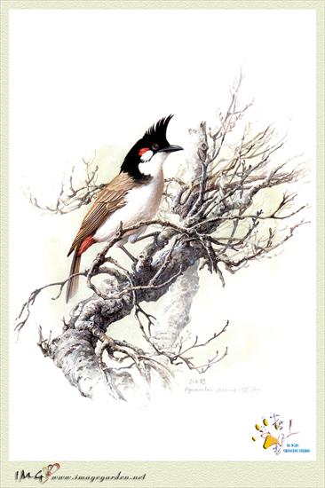 -Zeng Xiao Lian- - IMG_16Scan-ZengXiaoLian-Hundred_Birds-I-008.jpg