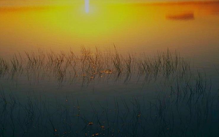 Lakes - Everglades National Park at Sunrise, Florida.jpg