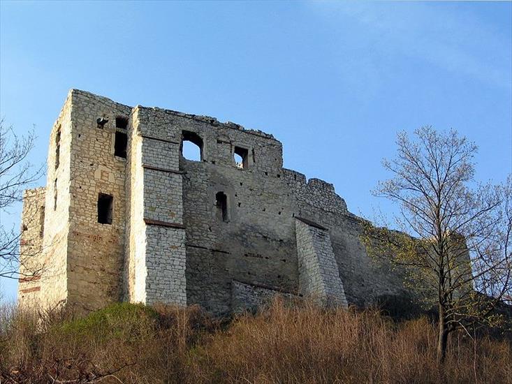 ruiny zamków - 800px-Kazimierz_Dolny_ruiny_zamku_03.jpg