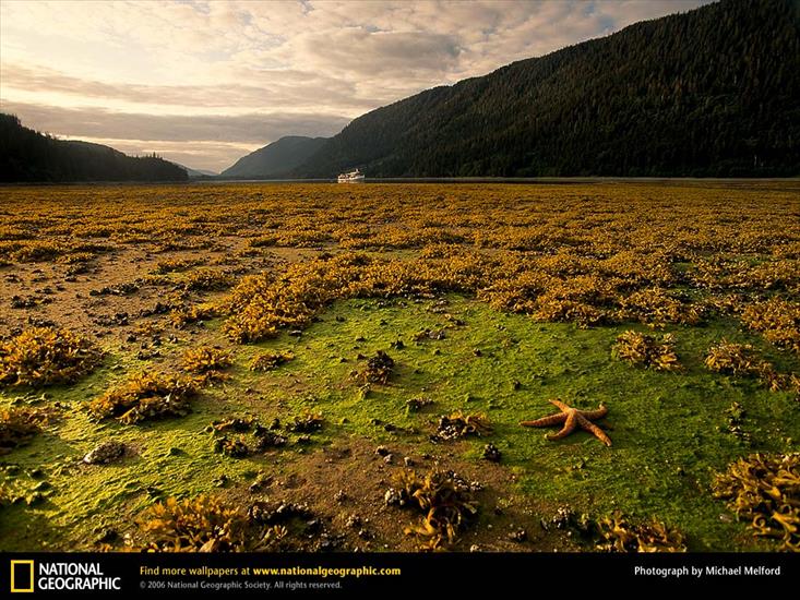 National Geographic cordi01 - 496.jpg