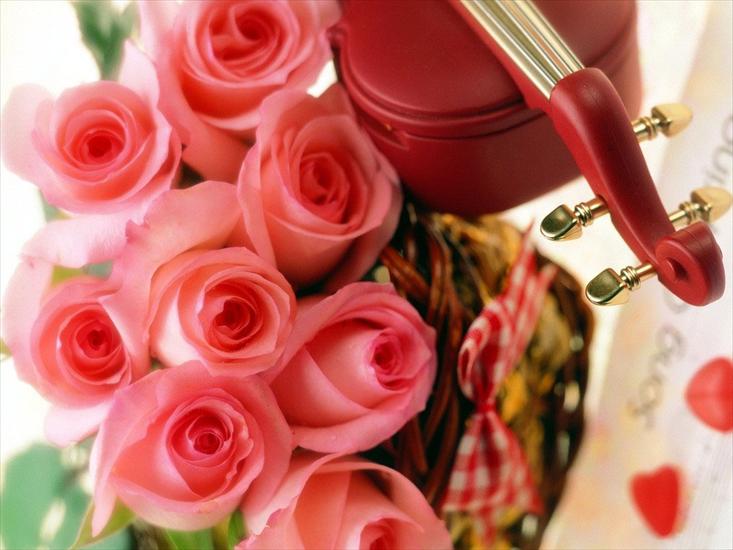 Róże - Walentynki 71.jpg