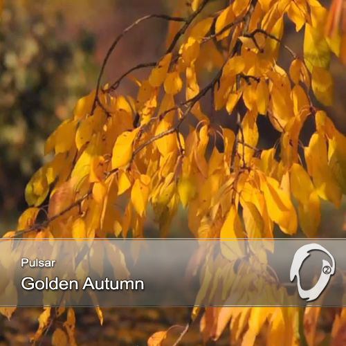 Golden Autumn - 02-093.jpg