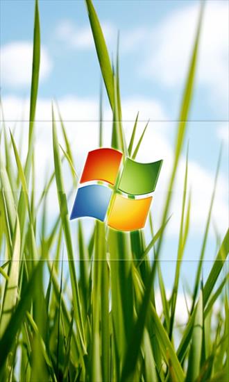 Ekran startowy - Grass_Windows.jpg