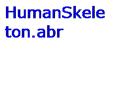 Anatomia 1 - HumanSkeleton_0.png
