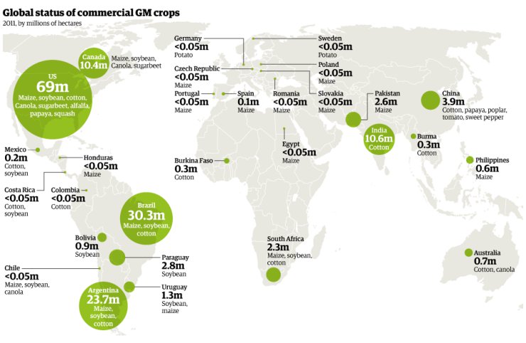 Infografika - Global status of commercial GM crops. Mapa upraw GMO na świecie w 2011 r.jpg