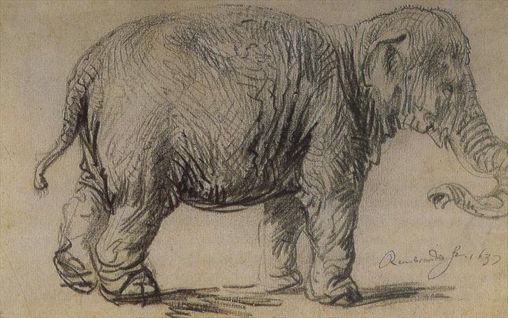  SZTUKA - 010. Rembrandt van Rijn Elephant 1637.jpg