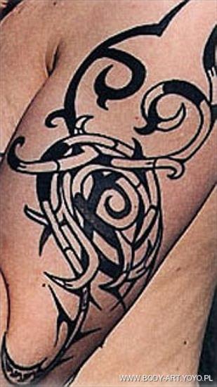 tatuaże - Tatoo 348.JPG